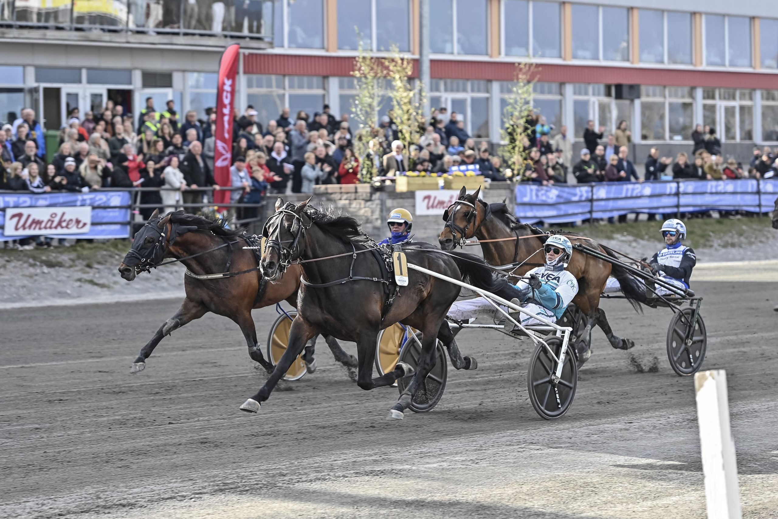 Don Fanucci Zet Upplopp scaled